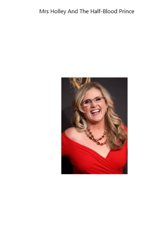 Mrs Holley And The Half Blood Prince