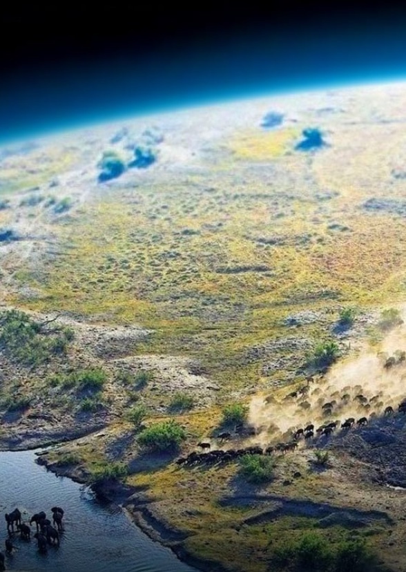Multiearth