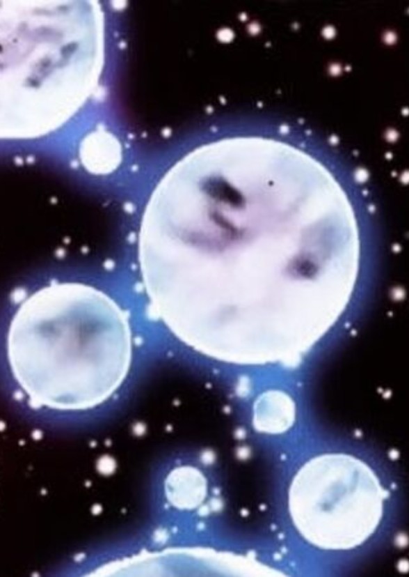 Multiverse