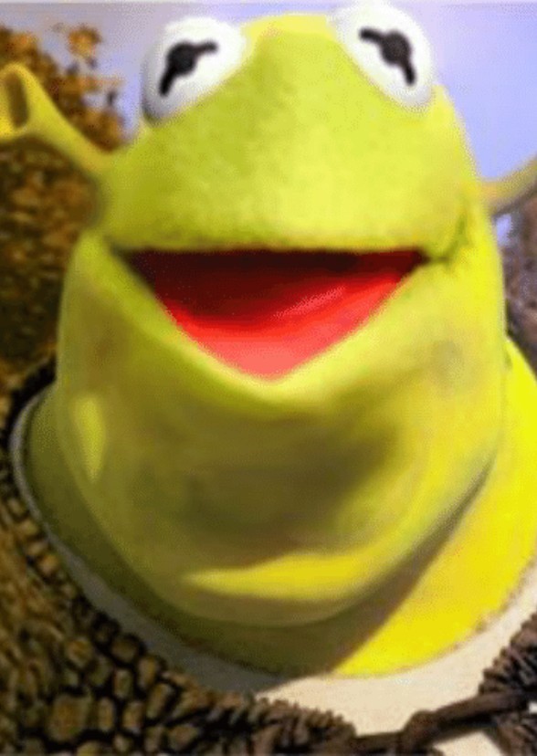 Muppet Shrek