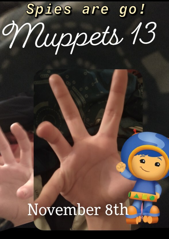 Muppets 13 