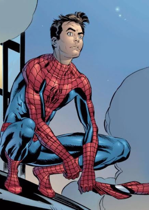  Spider-Man: Friendly Neighborhood Wallcrawler Animated Series