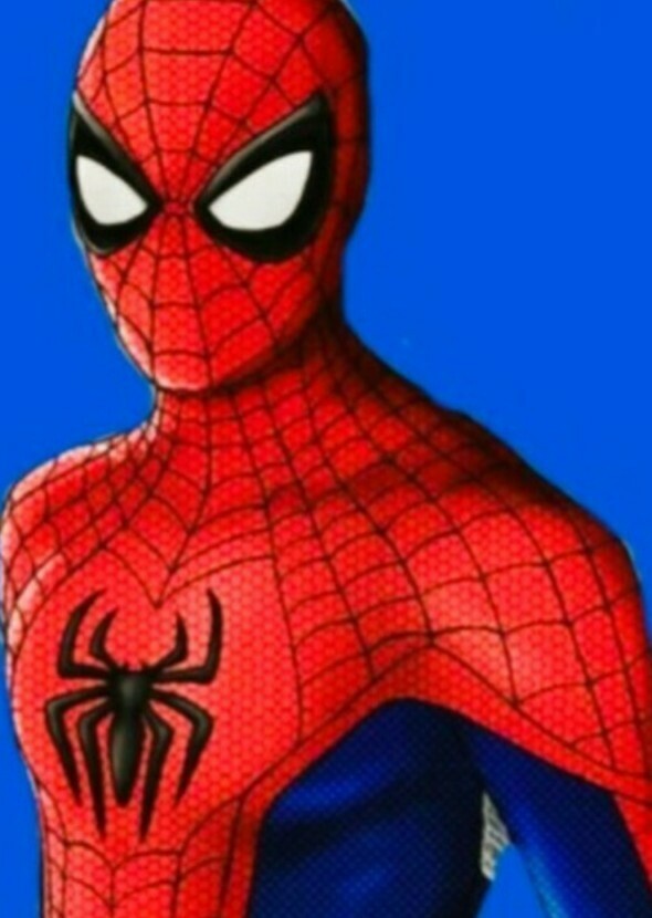 My Series of Spider-Man 