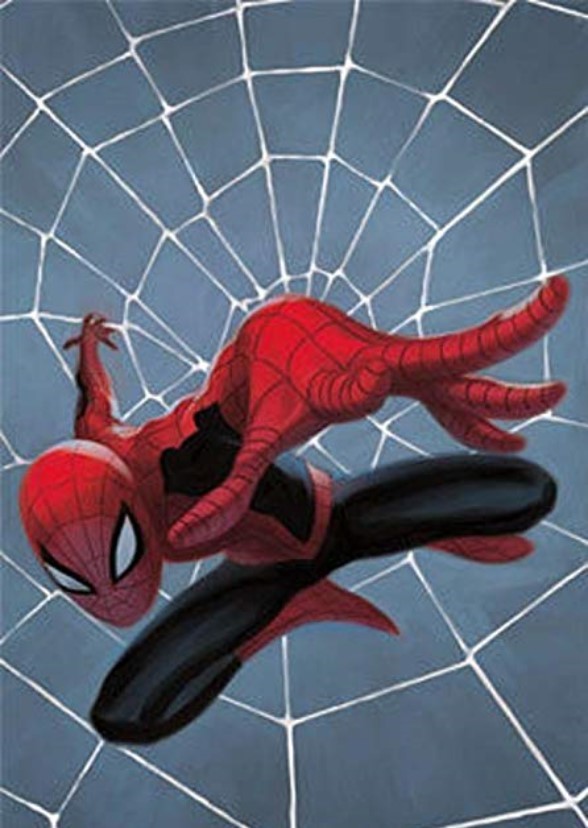 My Spider-man Reboot Franchise