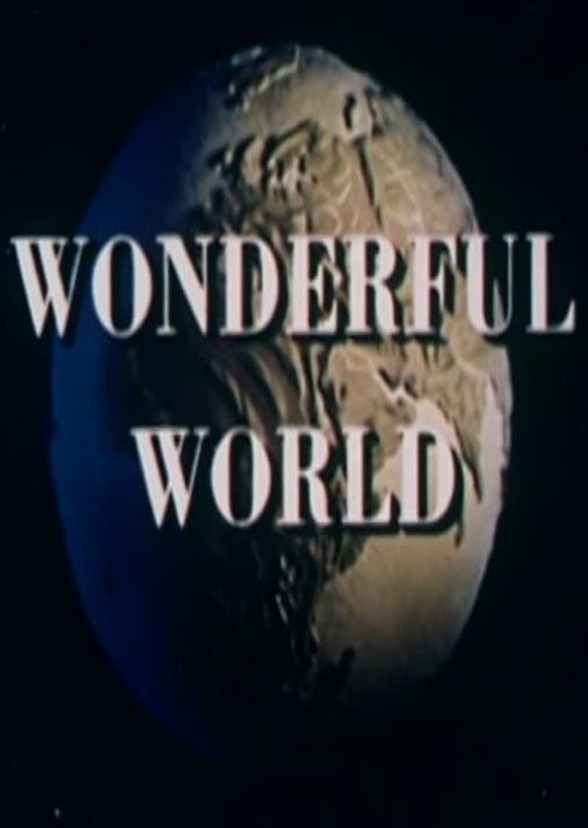 My Wonderful World