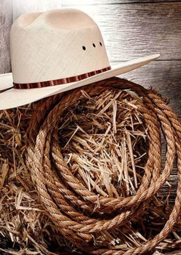 country singers moive