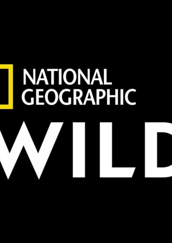 National Geographic's Wild
