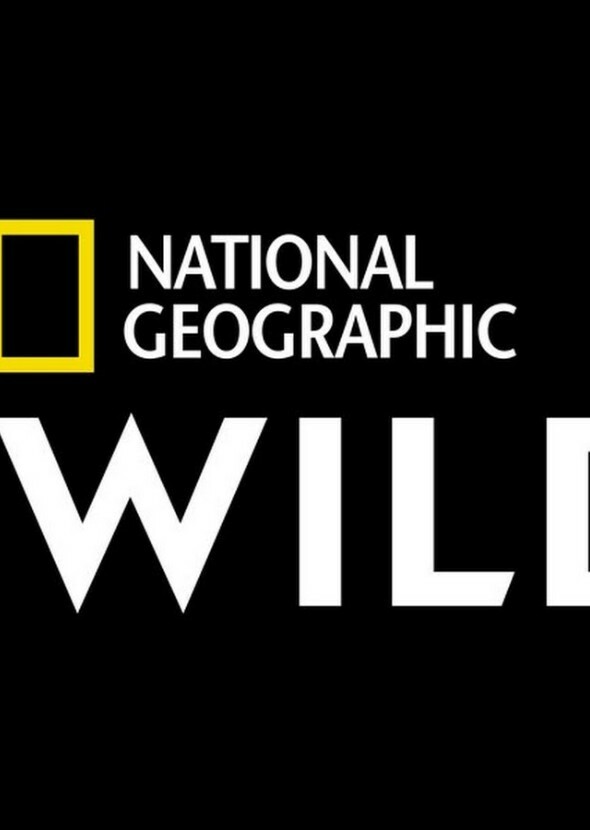 National Geographic's Wild