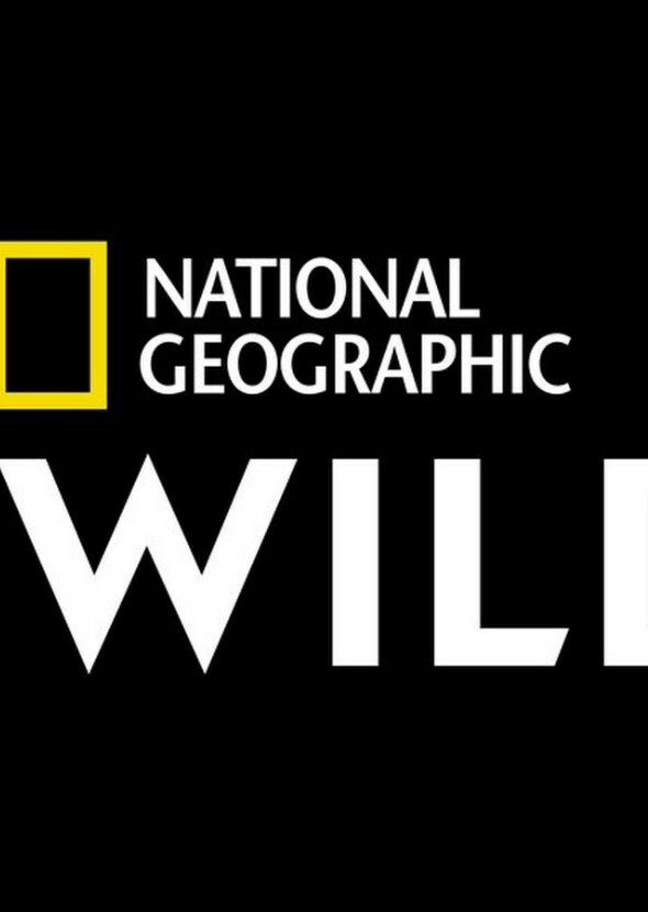 National Geographic's Wild