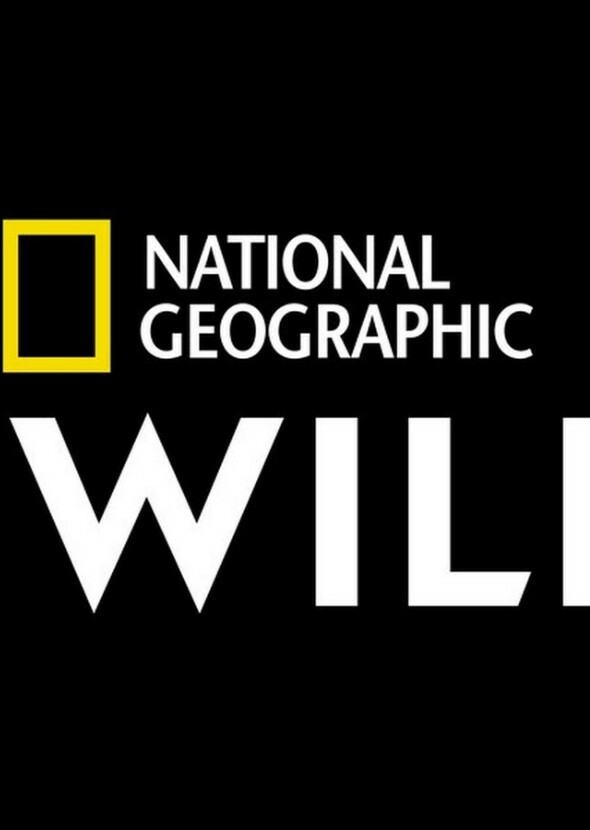 National Geographic Wild