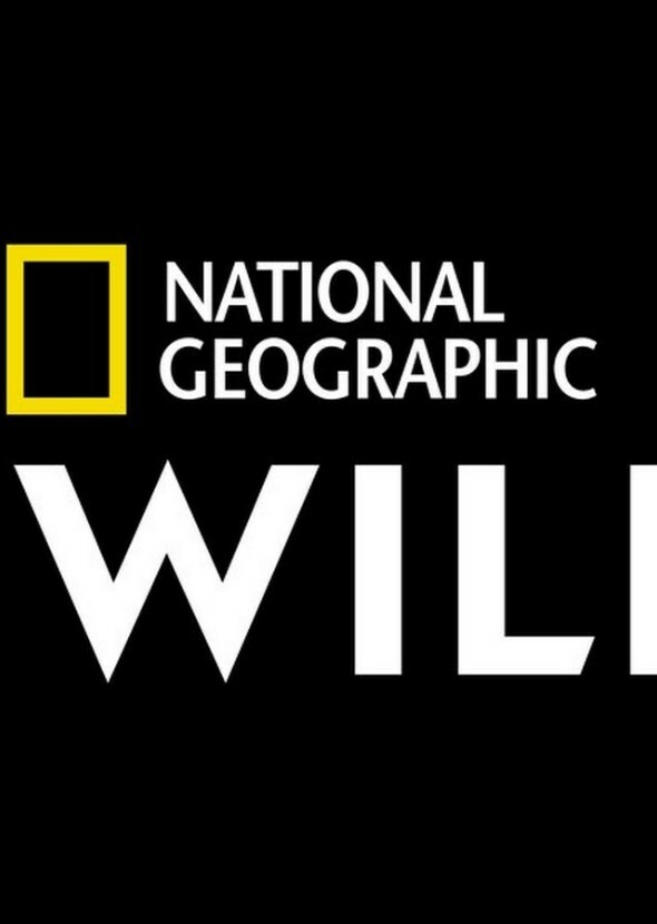 National Geographic's Wild