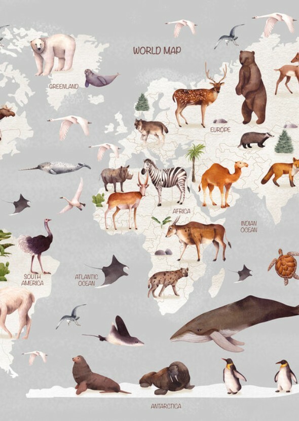 National Wildlife Day
