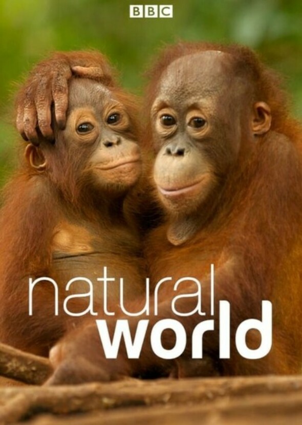 Natural World (Muppet Style)
