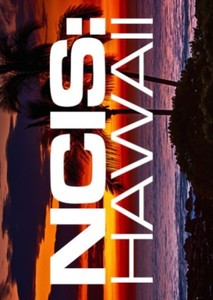 Browse #ncis Fan Casting Stories on myCast