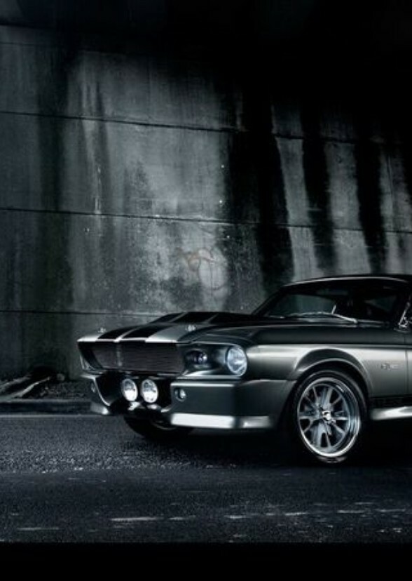 Need For Speed Fan Cast