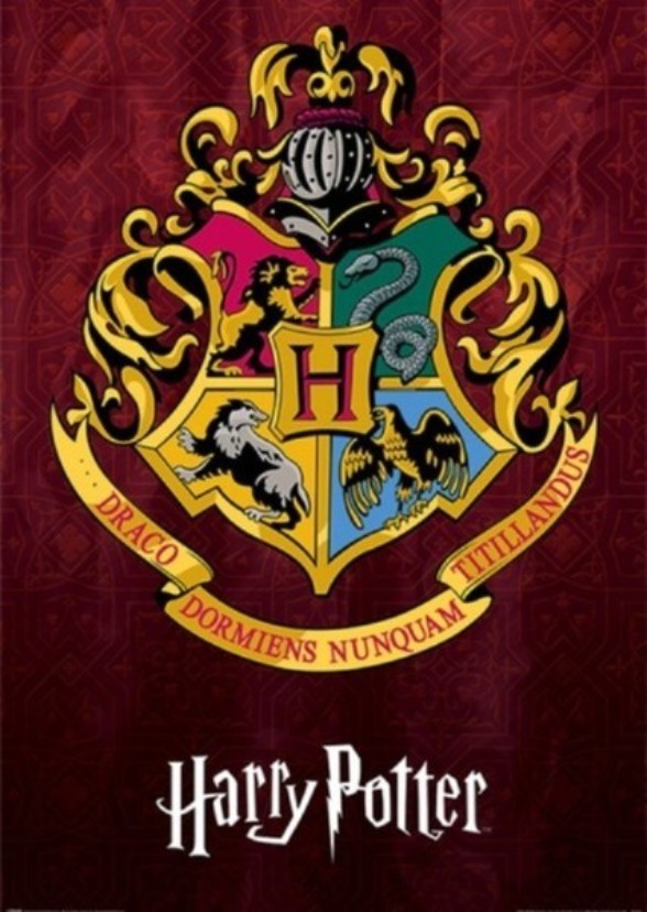 Nickelodeon Characters in Hogwarts Houses