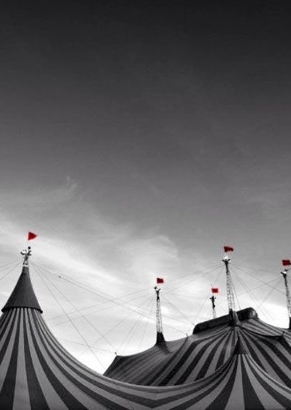Night Circus Fan Casting On Mycast
