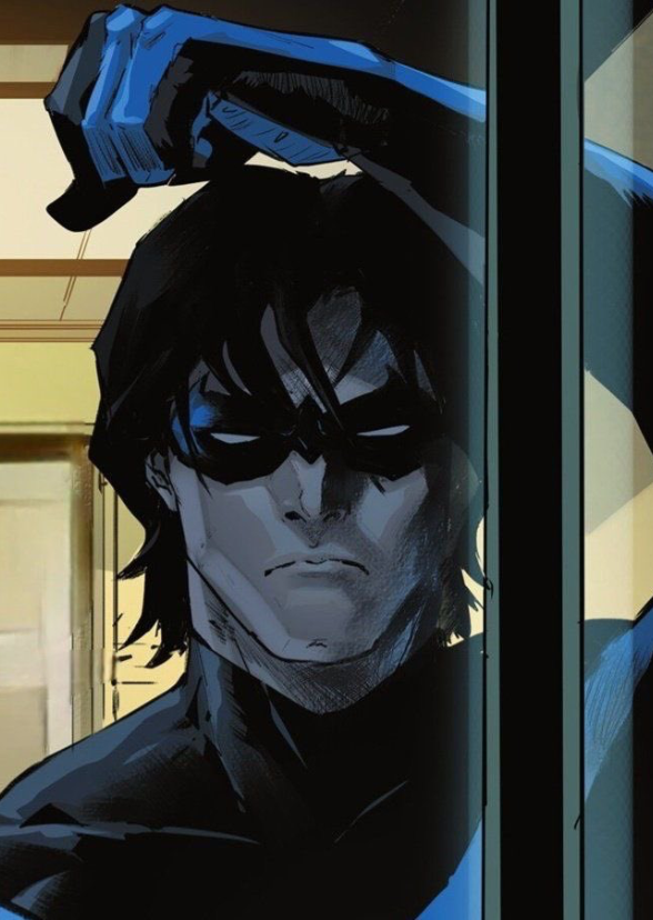 Nightwing Animated Series