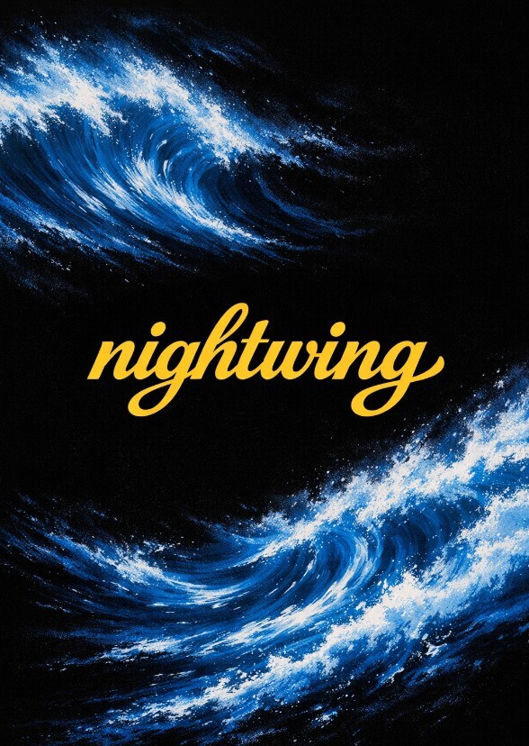 Nightwing 🐦