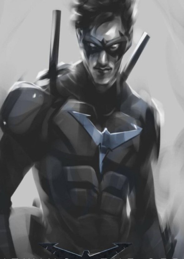 Nightwing: The Animated Series