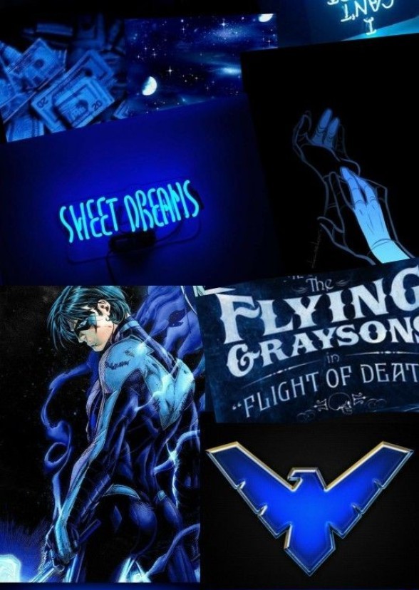 Nightwing:The Series 