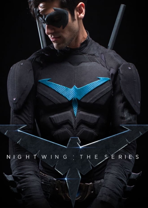 Nightwing the Series 