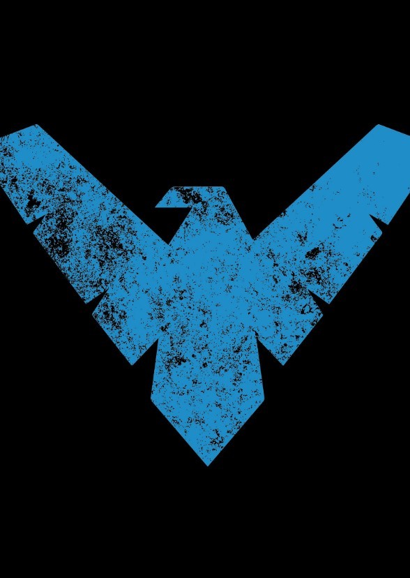Nightwing: Time to fly