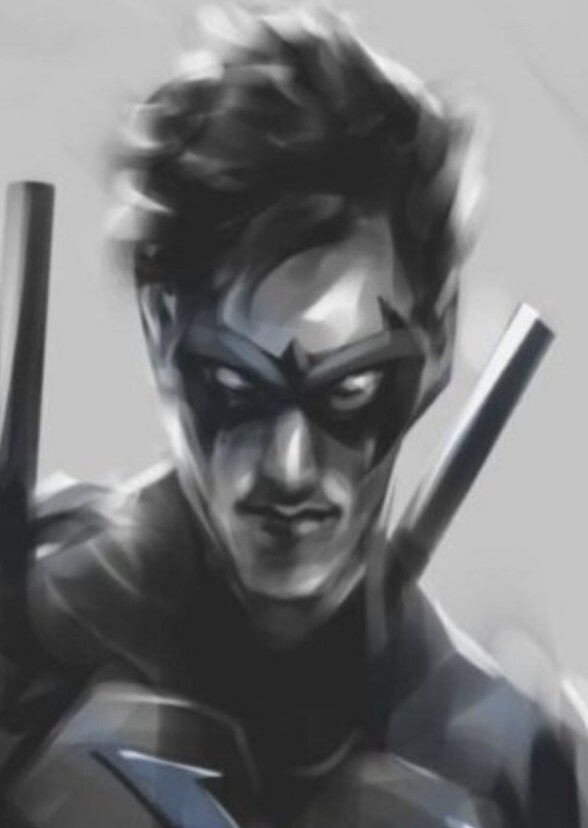 NightWing Trilogy
