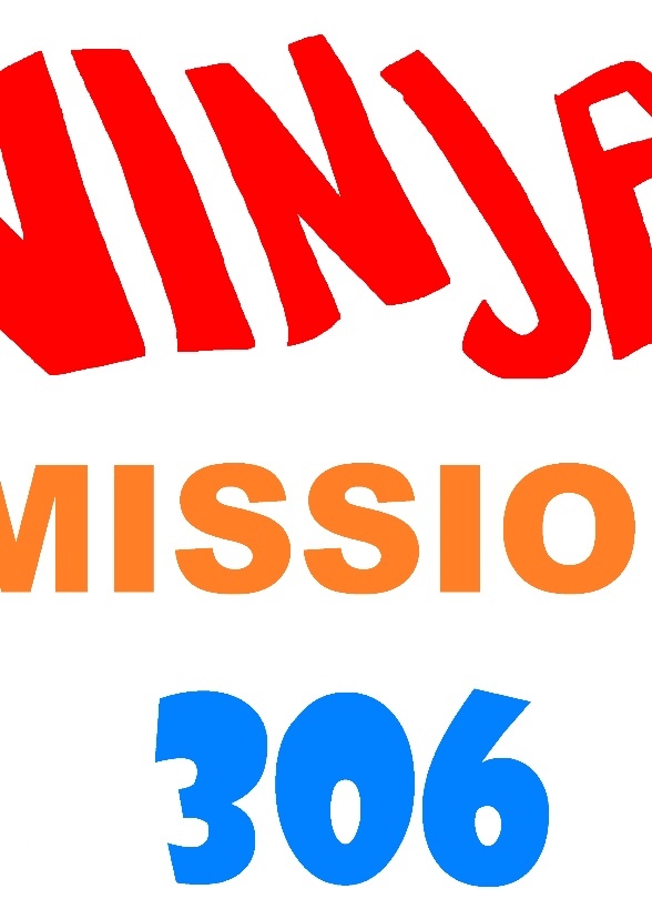 Ninja Mission 306