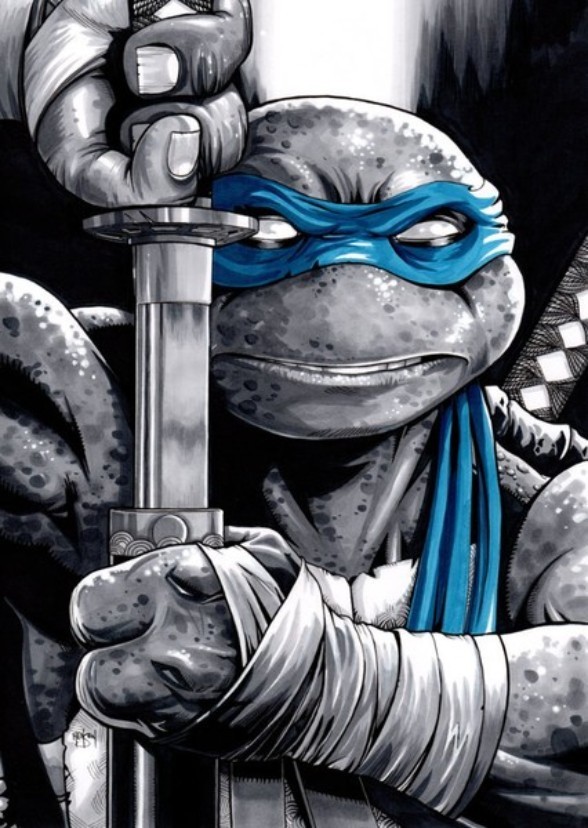 Ninja Turtles 3 Brothers Broken