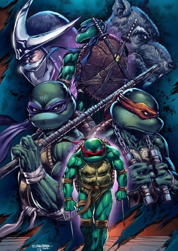 Ninja Turtles: Brotherhood
