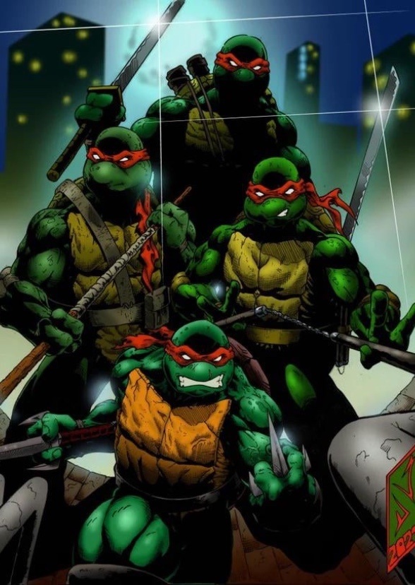 Ninja Turtles (Season 1)