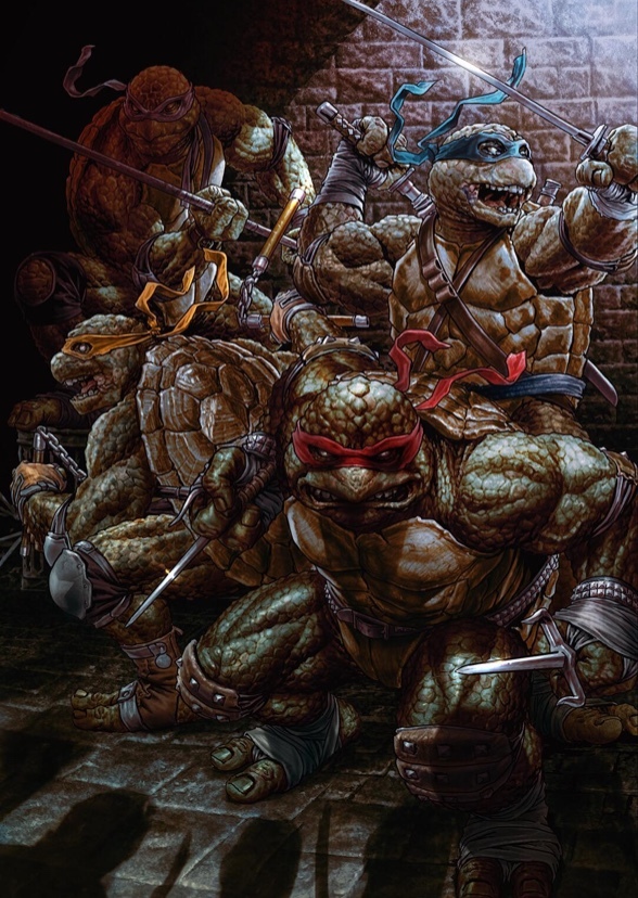 Ninja Turtles (Season One)