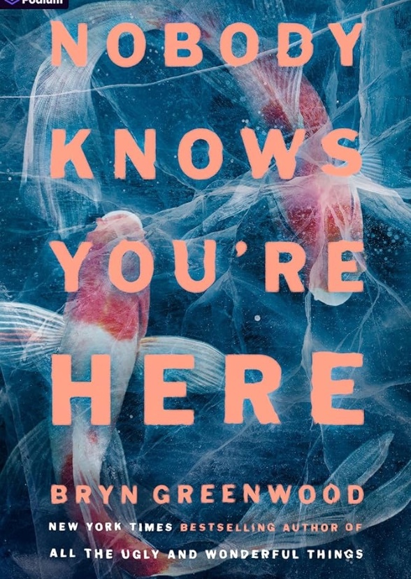 Nobody Knows You’re Here