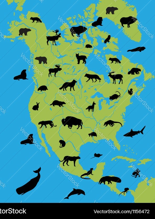 North America