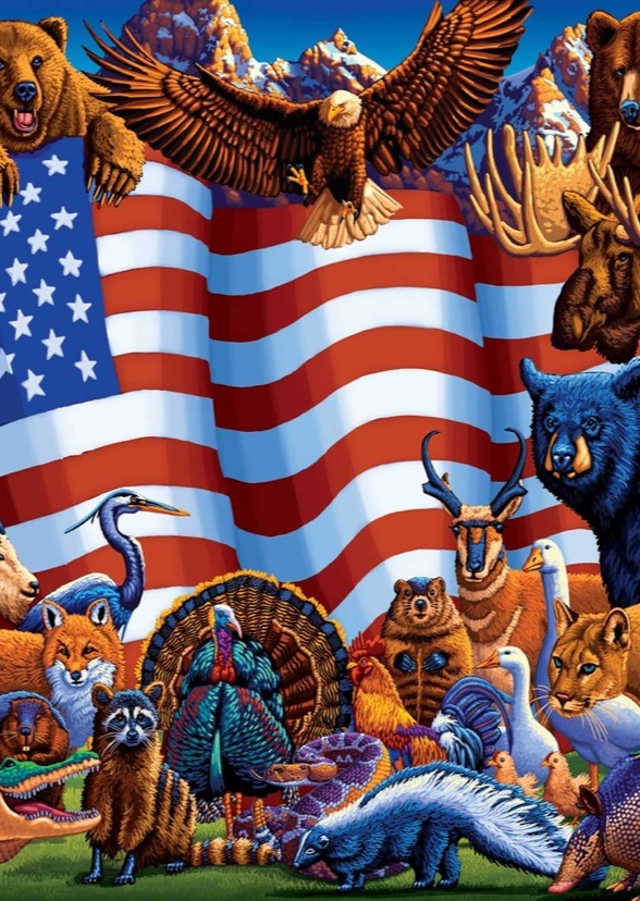 North American animals 