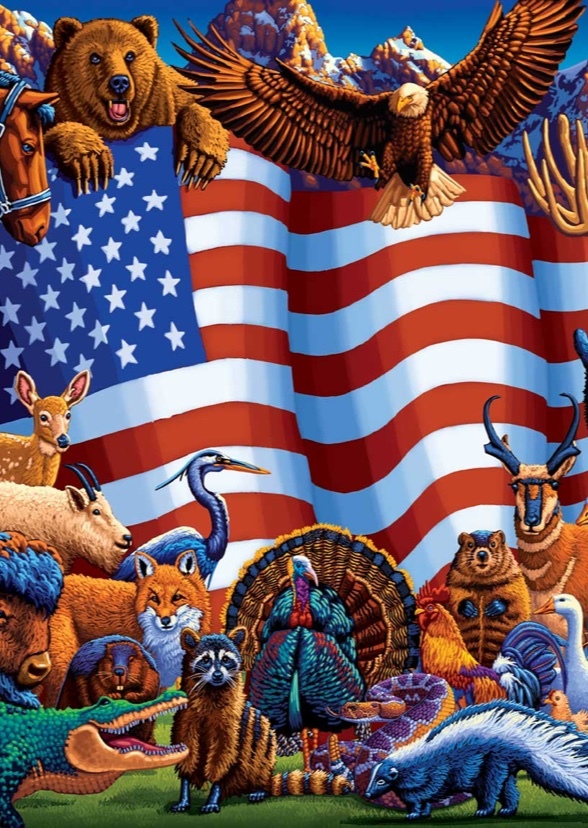 North American Animals (tv series)