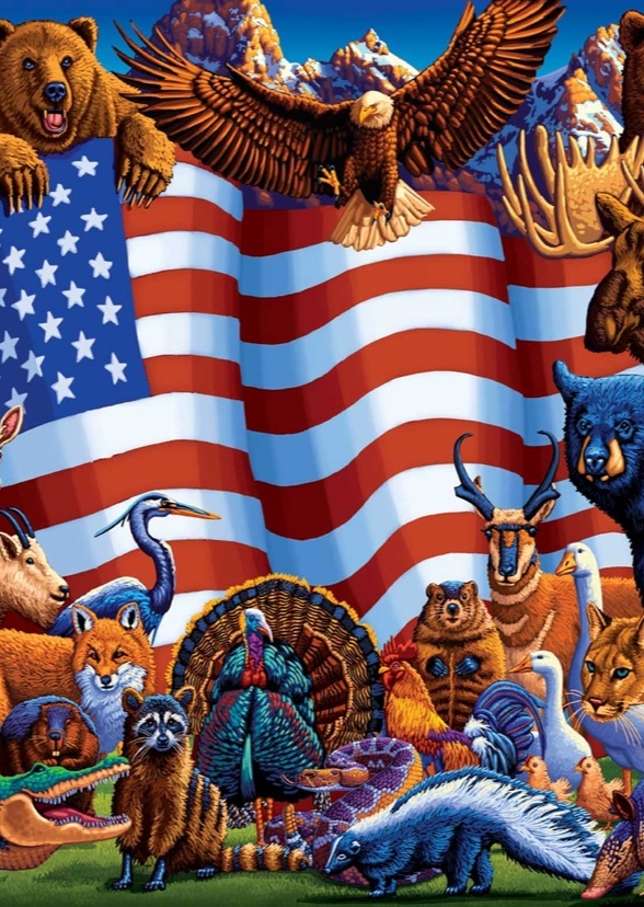 North American Animals (tv series)