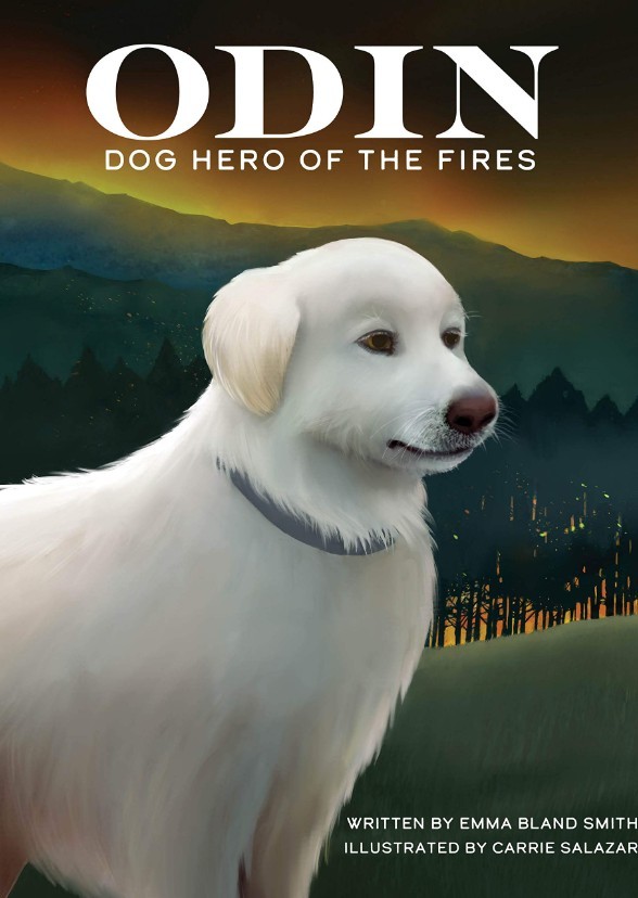 Odin: Dog Hero of the Fires