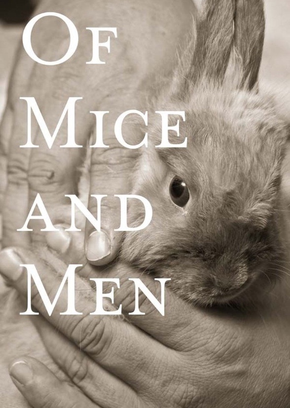 Of mice and men 