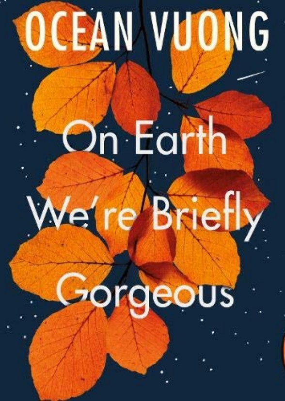 On Earth We're Briefly Gorgeous