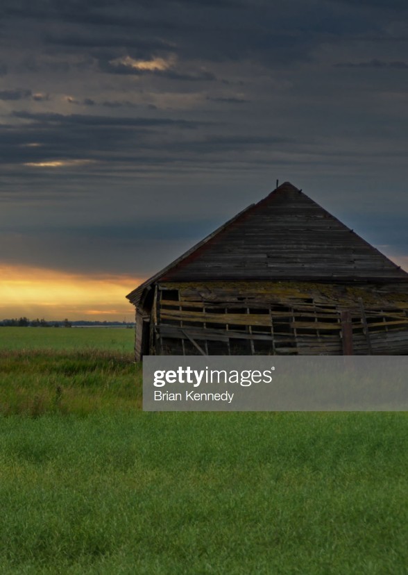 On The Ranch