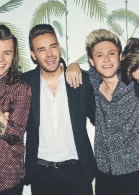 One Direction Biopic