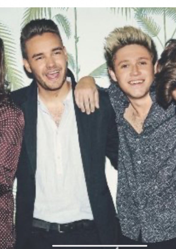 One Direction (Biopic)