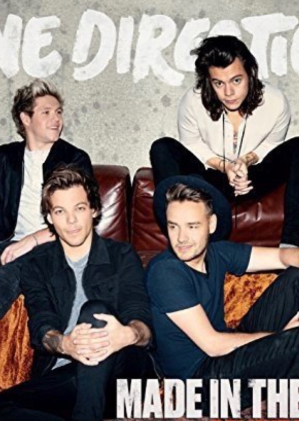 One Direction (Biopic)
