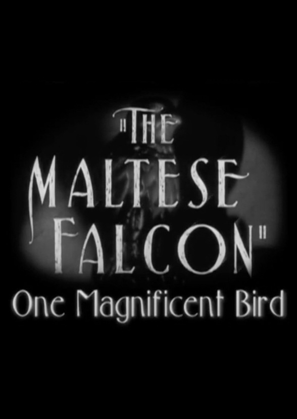 One magnificent Bird