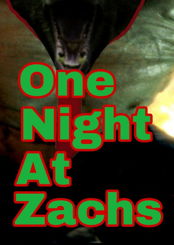 One Night at Zachs