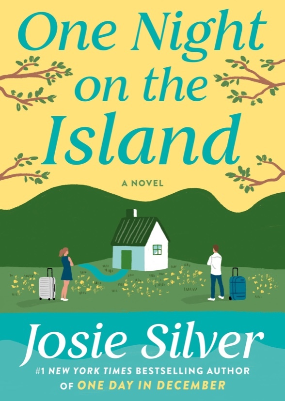 One Night On The Island 