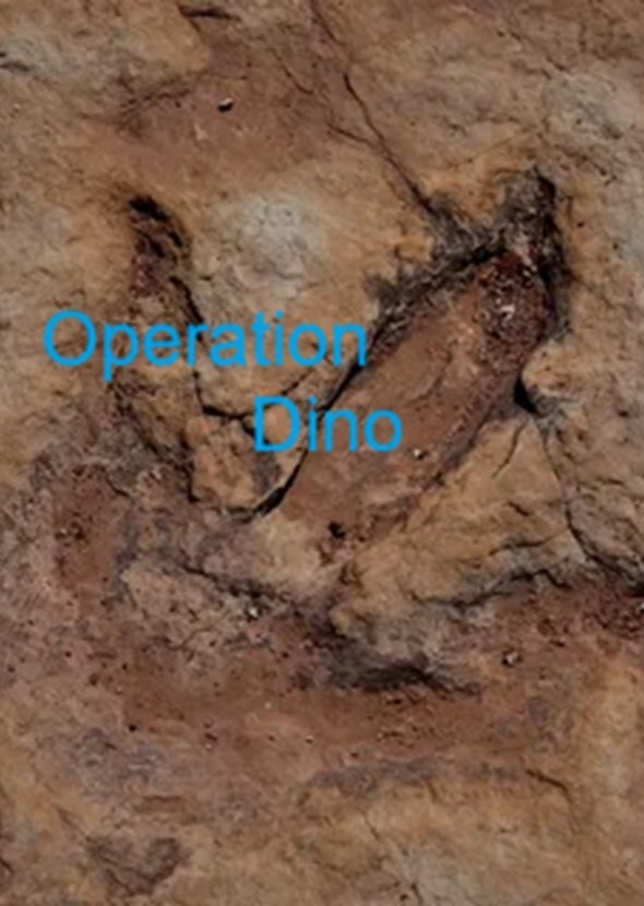 Operation "Dino"