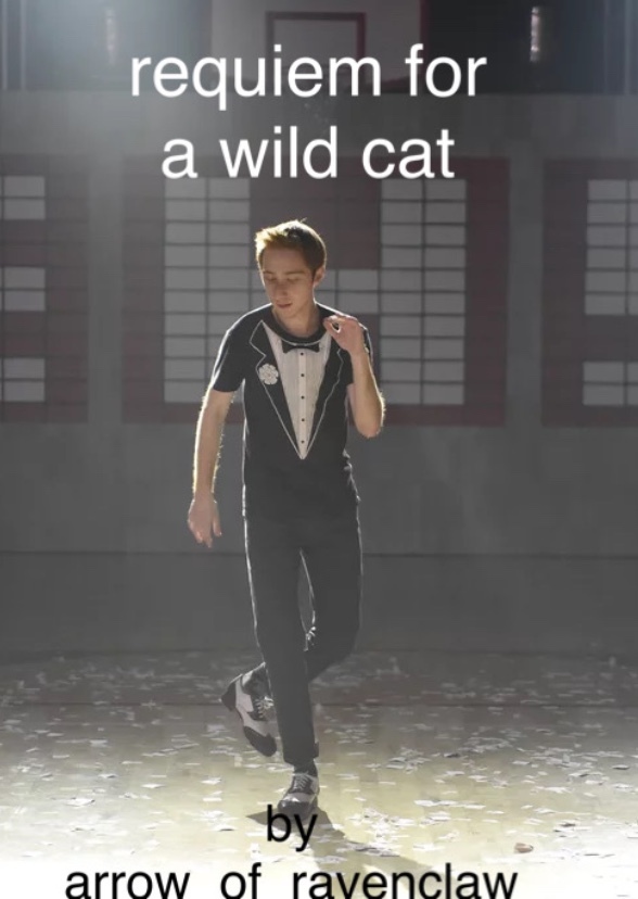 Original Characters: Requiem For a Wild Cat